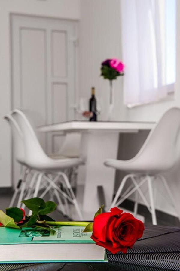 רוגוזניצה Apartments Zdeslav מראה חיצוני תמונה